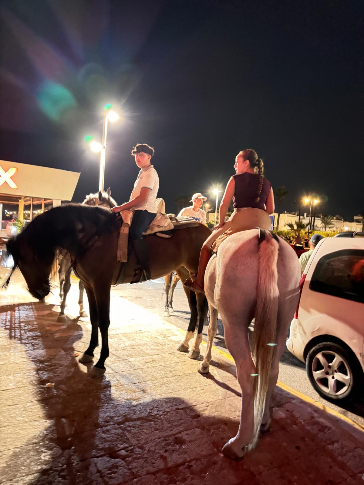 Ambiente nocturno Almerimar